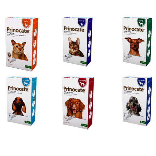 Prinocate Spot-on Solution for Cats and Dogs 3 Pipettes