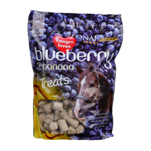 Load image into Gallery viewer, NAF Horse Treats 1kg - Various Flavours 
