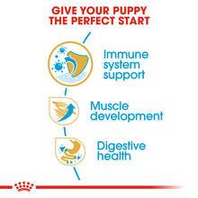 Load image into Gallery viewer, Royal Canin Dry Dog Food Specifically For Puppy Boxer - All Sizes
