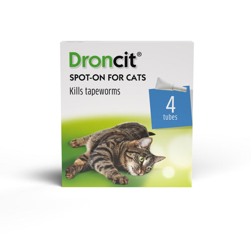 Droncit Spot-On Tapewormer for Cats (from 1kg), 4 tubes