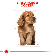 Load image into Gallery viewer, Royal Canin Dry Dog Food Specifically For Puppy Cocker 3kg
