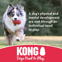 Load image into Gallery viewer, KONG Flyer
