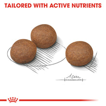 Load image into Gallery viewer, Royal Canin Dry Dog Food For Digestive Care In Medium Dogs - All Sizes
