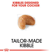 Load image into Gallery viewer, Royal Canin Dry Dog Food Specifically For Adult Cocker - All Sizes
