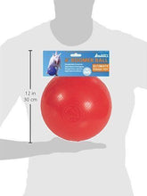 Load image into Gallery viewer, Company Of Animals Boomer Ball Dog Toy Assorted Colours All Sizes
