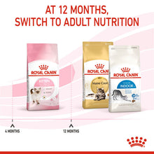 Load image into Gallery viewer, Royal Canin Dry Cat Kitten Food - All Sizes
