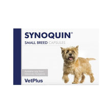 Load image into Gallery viewer, Synoquin Joint Supplement Tablets &amp; Capsules For Cats &amp; Dogs x 30
