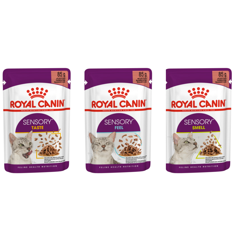 Royal Canin Veterinary Diet Sensitivity Control - Kattenvoer - Kip Rijst 12x85 g - Noorse Boskat - Pets Place