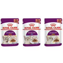 Load image into Gallery viewer, Royal Canin Wet Cat Food Pouches Sensory Designed Food 12 x 85g
