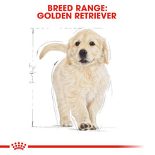 Load image into Gallery viewer, Royal Canin Dry Dog Food Specifically For Puppy Golden Retriever - All Sizes
