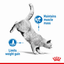 Load image into Gallery viewer, Royal Canin Light Weight Care Adult Dry Cat Food For Cats- Various Sizes
