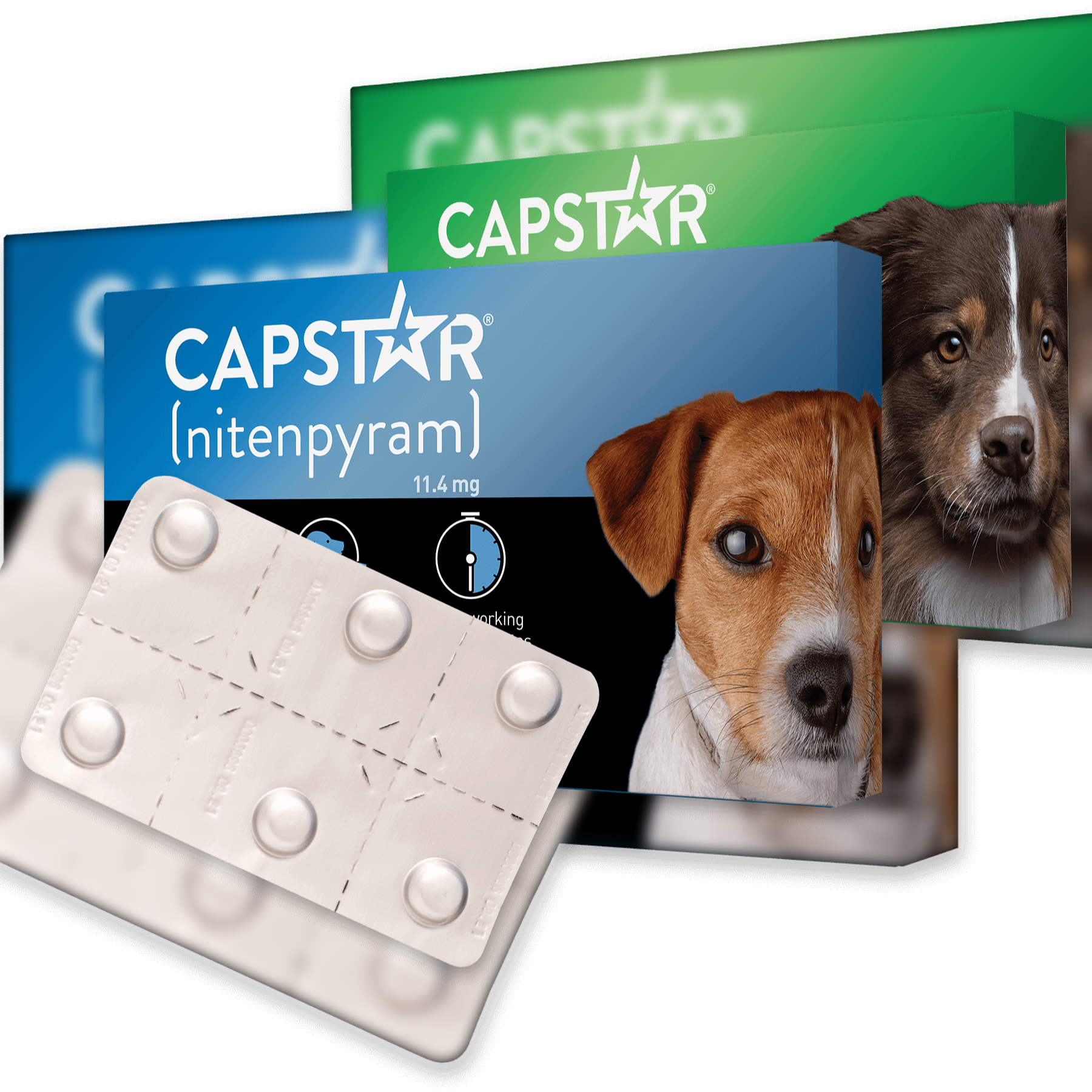 Capstar Tablets For Cats Dogs Direct4Pet Free Delivery