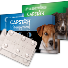 Load image into Gallery viewer, Capstar Flea Tablets For Cats &amp; Dogs
