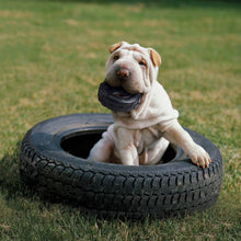Load image into Gallery viewer, KONG Extreme Tyres Medium/Large
