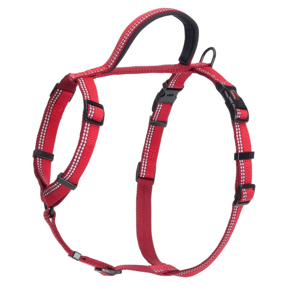 Halti harness uk top