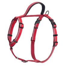 Load image into Gallery viewer, Halti Walking Harness - Various Colours
