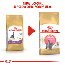 Load image into Gallery viewer, Royal Canin British Shorthair Kitten Dry Food For Cats 10kg

