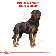 Load image into Gallery viewer, Royal Canin Dry Dog Food Specifically For Adult Rottweiler 12kg
