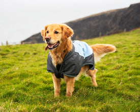 Load image into Gallery viewer, Henry Wag Waterproof Dog Warm Coat Clothing - All Sizes
