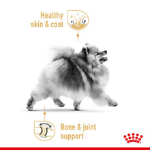 Load image into Gallery viewer, Royal Canin Dry Dog Food Specifically For Adult Pomeranian - All Sizes
