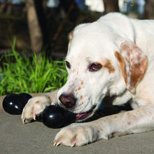 Load image into Gallery viewer, KONG Extreme Goodie Bone Dog Chew Toy
