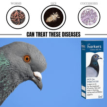 Load image into Gallery viewer, Harka-Mectin Pigeon Wormer Spot On Worming For Parasites Worms Lice &amp; Mites 5ml
