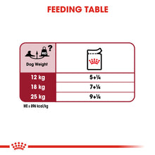 Load image into Gallery viewer, Royal Canin Wet Dog Food For Medium Ageing Senior 10+ Dogs 10x140g
