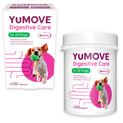 YuMOVE Digestive Care for All Dogs | Various Sizes 