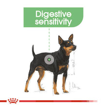 Load image into Gallery viewer, Royal Canin Wet Dog Food For Digestive Care In Adult Dogs 12x85g
