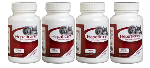 Load image into Gallery viewer, Hepaticare Liver Supplement Support
