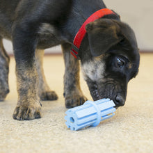 Load image into Gallery viewer, KONG Puppy Teething Stick Assorted
