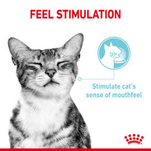 Load image into Gallery viewer, Royal Canin Wet Cat Food Pouches Sensory Designed Food 12 x 85g
