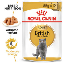 Load image into Gallery viewer, Royal Canin British Shorthair Adult In Gravy Wet Cat Food For Cats 12 x 85g
