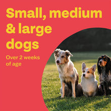 Load image into Gallery viewer, Bob Martin 3In1 Flavoured Wormer Tablets - All Sizes
