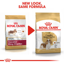 Load image into Gallery viewer, Royal Canin Dry Dog Food Specifically For Adult Cavalier King Charles 7.5kg
