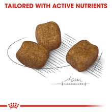 Load image into Gallery viewer, Royal Canin Dry Dog Food For Dental Care In Mini Dogs 8kg
