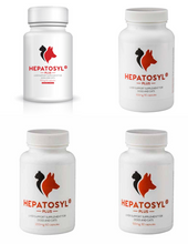 Load image into Gallery viewer, Hepatosyl Plus Capsules For Cats &amp; Dogs
