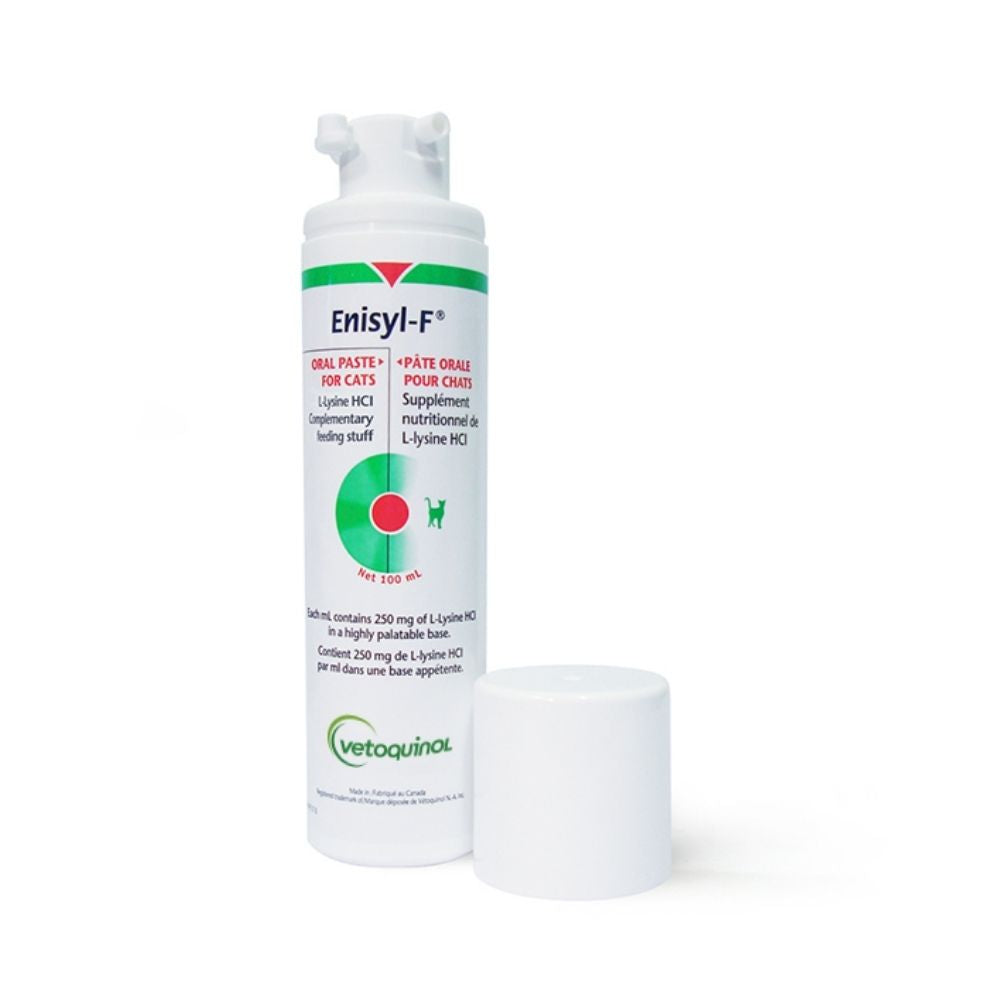 Enisyl F Oral Paste Cats