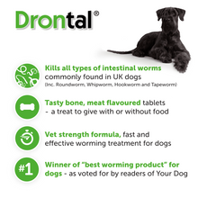 Load image into Gallery viewer, Drontal Tasty Bone XL Wormer Tablets - Large Dogs - Over 35kg - All Pack Sizes
