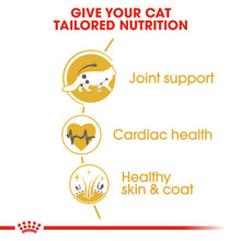 Load image into Gallery viewer, Royal Canin Maine Coon Adult Dry Cat Food For Cats
