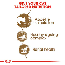 Load image into Gallery viewer, Royal Canin Ageing 12+ Dry Cat Food For Cats 4kg
