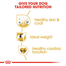 Load image into Gallery viewer, Royal Canin Dry Dog Food Specifically For Adult Cocker - All Sizes
