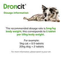 Load image into Gallery viewer, Droncit Tablet Tapewormer for Cats and Dogs - All Pack Sizes
