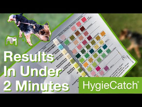 Load and play video in Gallery viewer, HygieCatch - Urine Sample Collection &amp; Testing Kit - Monitor Your Dog&#39;s Health
