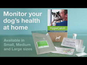 Load and play video in Gallery viewer, HygieCatch - Urine Sample Collection &amp; Testing Kit - Monitor Your Dog&#39;s Health
