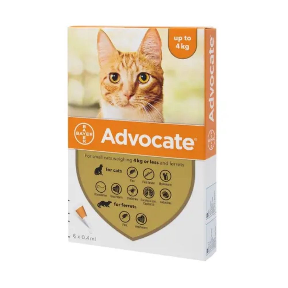 Advocate For Cats Spot On For Cats 40 Kittens and Cats Up To 4kg