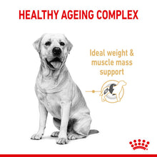 Load image into Gallery viewer, Royal Canin Dry Dog Food Ageing BHN Labrador 5+ 12kg
