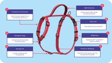 Load image into Gallery viewer, Halti Walking Harness - Various Colours
