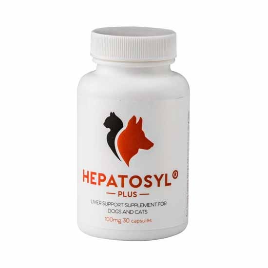 Hepatosyl Plus Capsules For Cats & Dogs