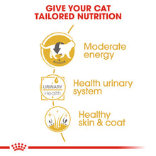 Load image into Gallery viewer, Royal Canin British Shorthair Adult In Gravy Wet Cat Food For Cats 12 x 85g
